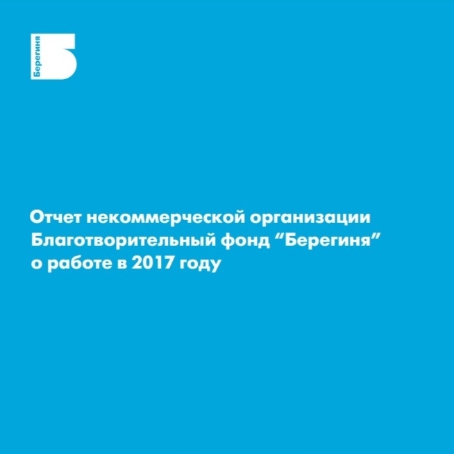 Публичный годовой отчет за 2017 год